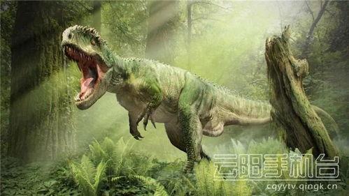 霸王龙最新爆料新闻,揭秘史前巨兽的神秘生活 第2张 霸王龙最新爆料新闻,揭秘史前巨兽的神秘生活 第2张